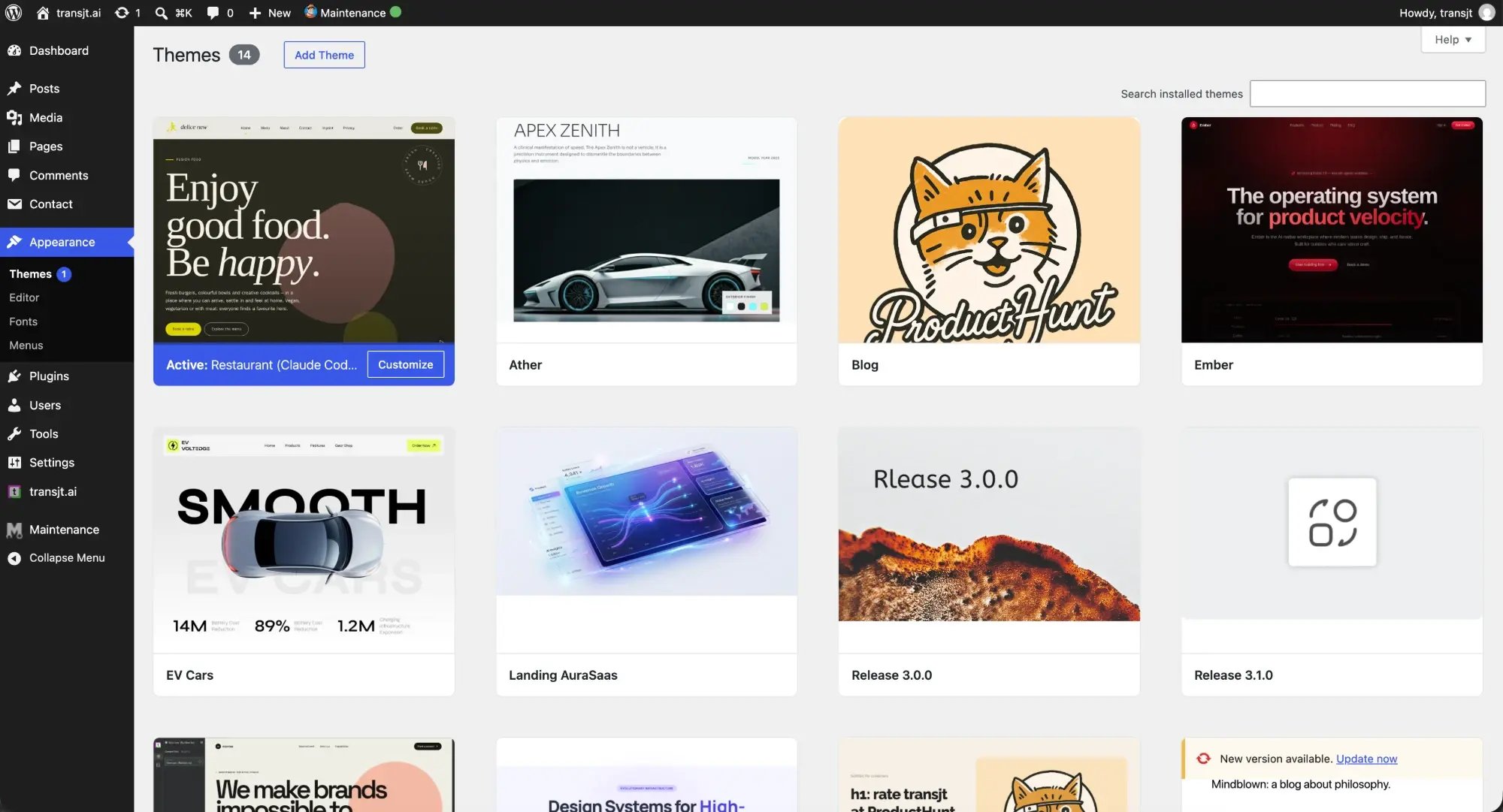 WordPress Appearance, Themes: exported transjt themes with their project name and cover image, the active theme marked Active with a Customize button